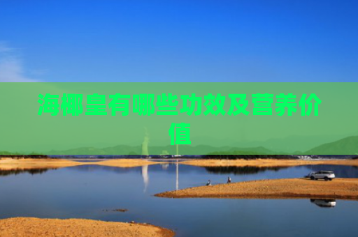 海椰皇有哪些功效及营养价值