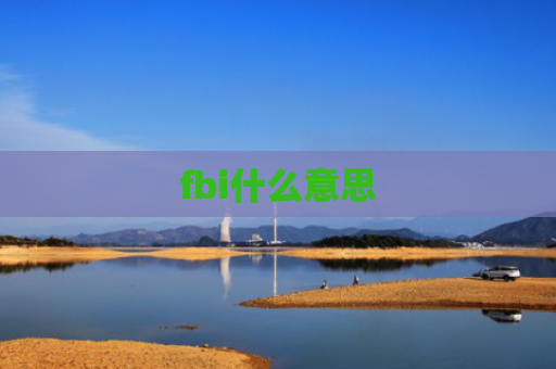 fbi什么意思