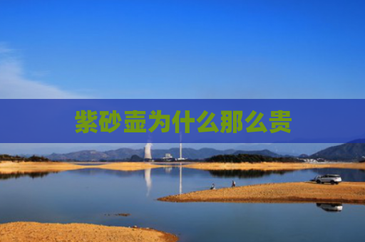 紫砂壶为什么那么贵