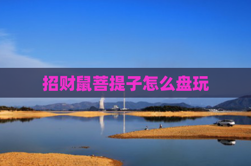 招财鼠菩提子怎么盘玩