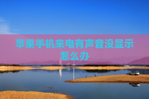 苹果手机来电有声音没显示怎么办