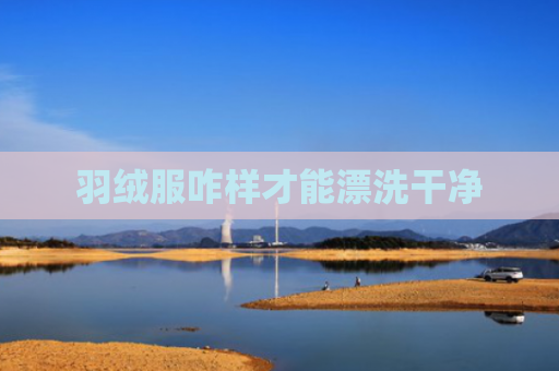 羽绒服咋样才能漂洗干净