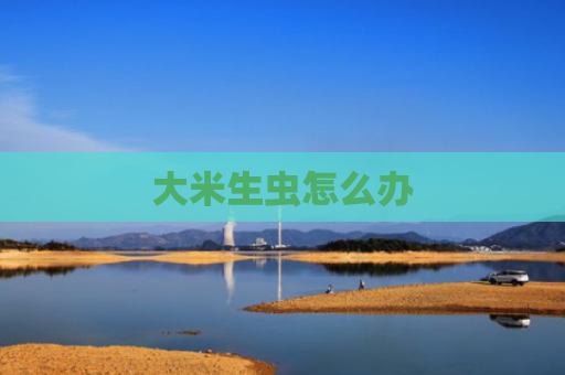 大米生虫怎么办