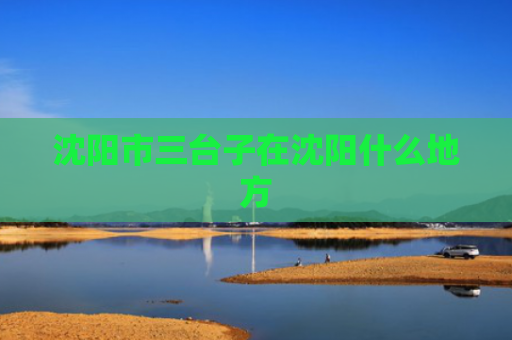 沈阳市三台子在沈阳什么地方