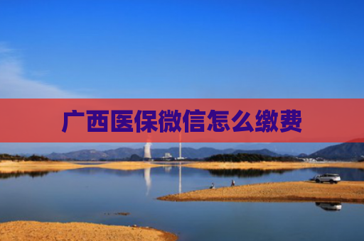 广西医保微信怎么缴费