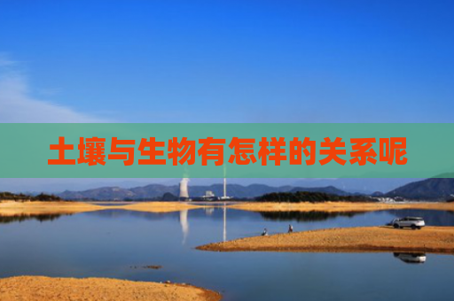 土壤与生物有怎样的关系呢