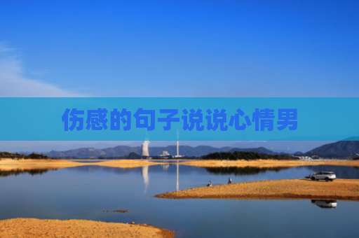 伤感的句子说说心情男