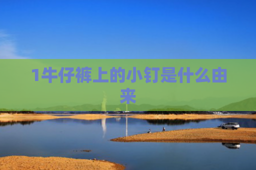 1牛仔裤上的小钉是什么由来
