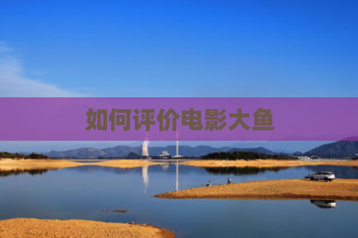 如何评价电影大鱼