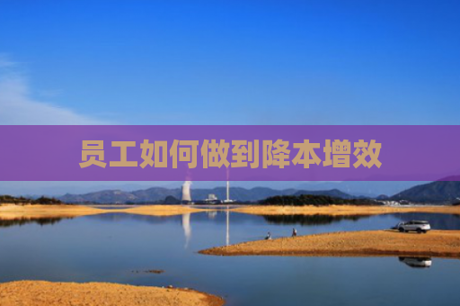 员工如何做到降本增效