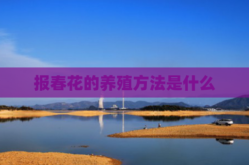 报春花的养殖方法是什么