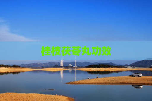 桂枝茯苓丸功效