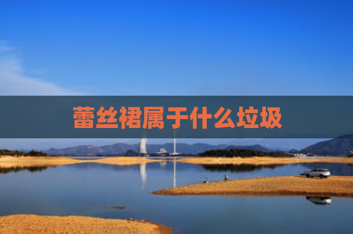 蕾丝裙属于什么垃圾