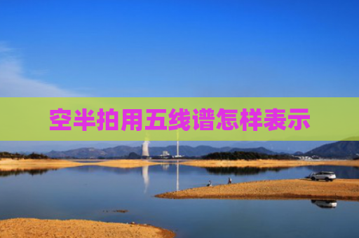 空半拍用五线谱怎样表示