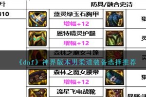 DNF神界版本男柔道装备选择哪个好