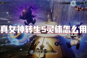 真女神转生5灵体怎么用