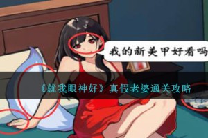 就我眼神好真假老婆攻略