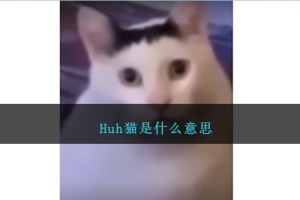 Huh猫是什么意思
