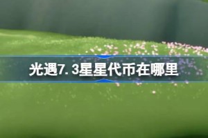 光遇7.3星星代币在哪里