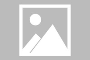 黑光生存进化配置要求一览-黑光生存进化配置要求是什么