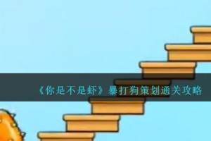 你是不是虾暴打狗策划怎么过