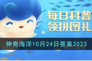 白鲸是群居性的海洋动物吗