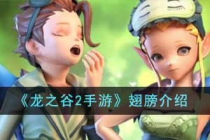 龙之谷2手游翅膀有什么用
