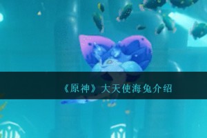 原神大天使海兔怎么样