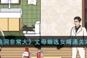 脑洞非常大丈母娘选女婿怎么过