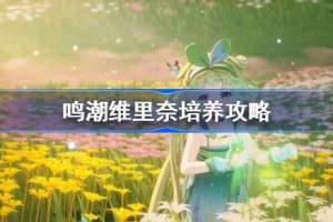 鸣潮维里奈培养攻略