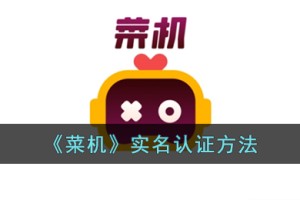 菜鸡云游戏怎么实名认证
