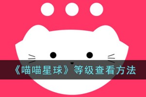 喵喵星球怎么看等级